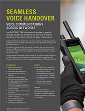 Seamless Voice Handover