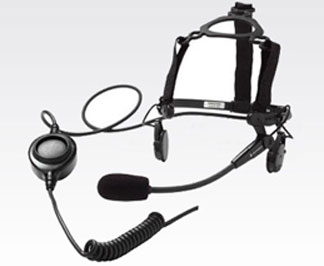 list item image