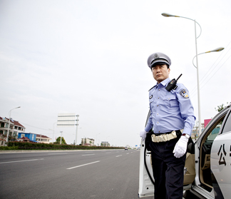Services for Government and Public Safety