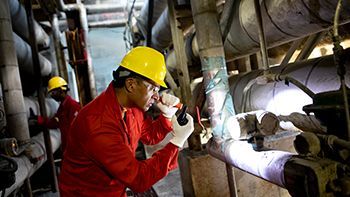 Empower plant productivity