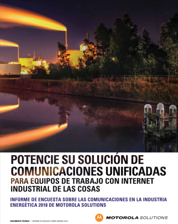 report cover
