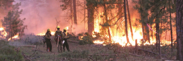 Washington State Emergency Management Division