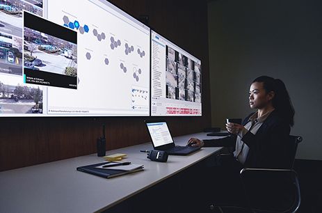 Fixed video security